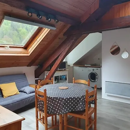 De Plus De 25m² Pour 4 A 6 Personnes. Apartment *
